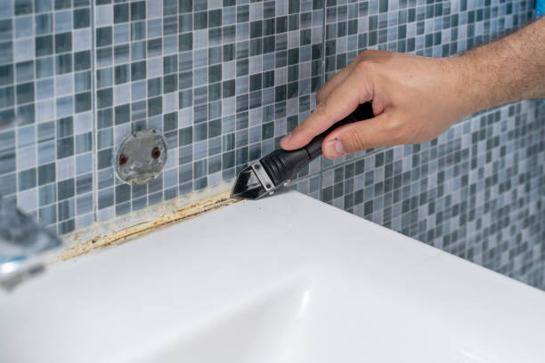 Best Mold Damage Repair  in Bevil Oaks, TX