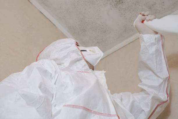 Attic Mold Removal in Bevil Oaks, TX