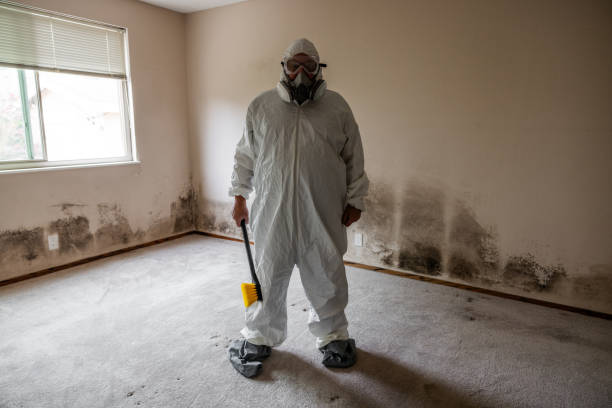 Best Toxic Mold Removal  in Bevil Oaks, TX